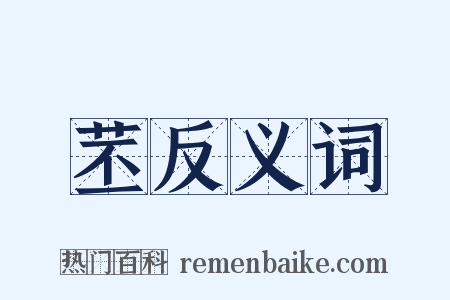 苤反义词是什么意思的图片